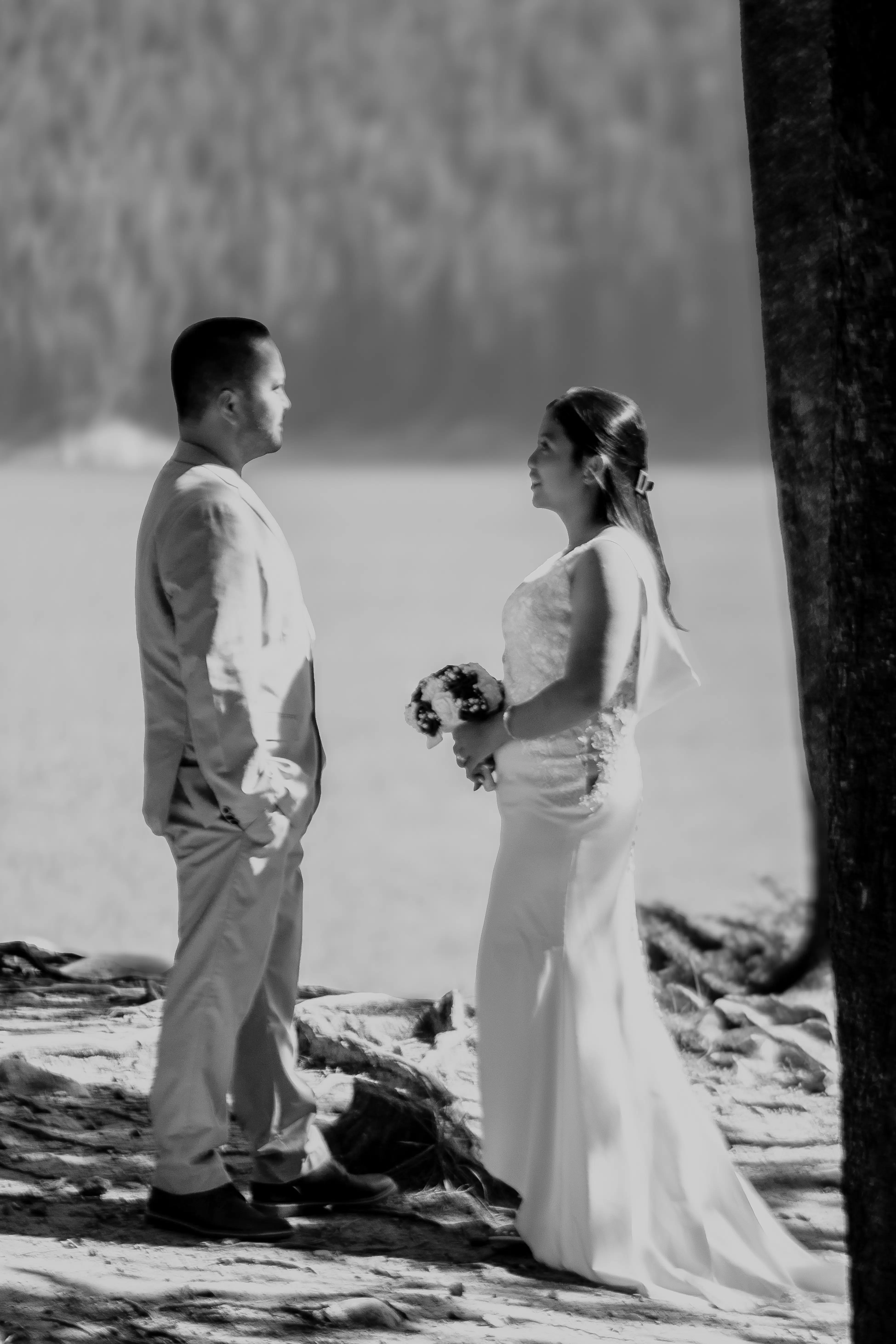 Classic Banff Wilderness Backdrop