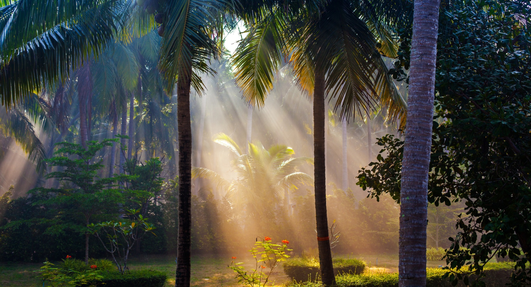 Garden of Eden Scene