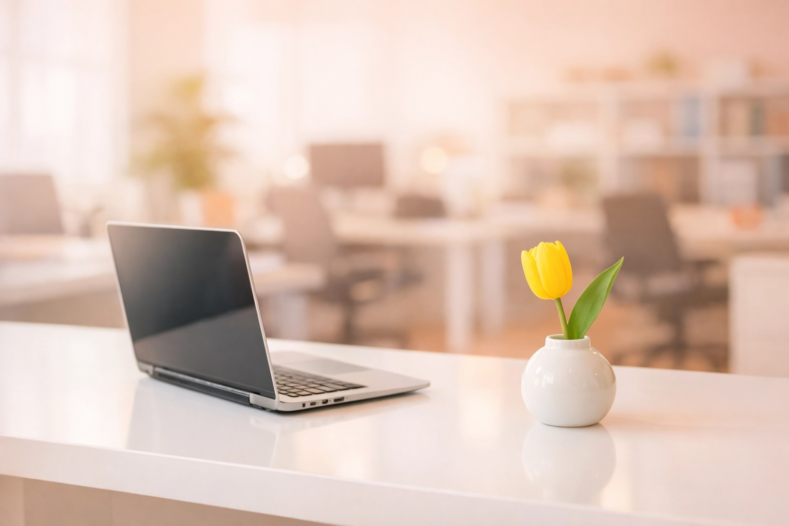 A pristine office workspace in the Cedar Valley after a professional commercial cleaning service.