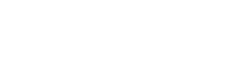 flawless-painting-logo.webp