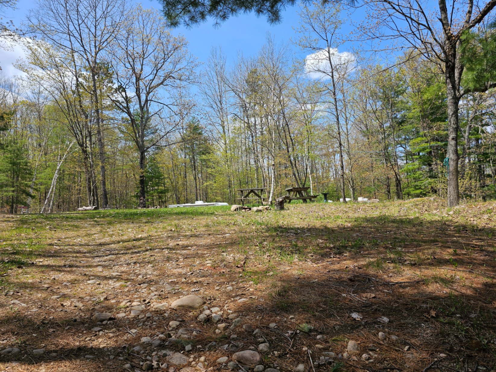 Open Wooded Camping Area at Mazinaw Lakeside RV Park & Campground