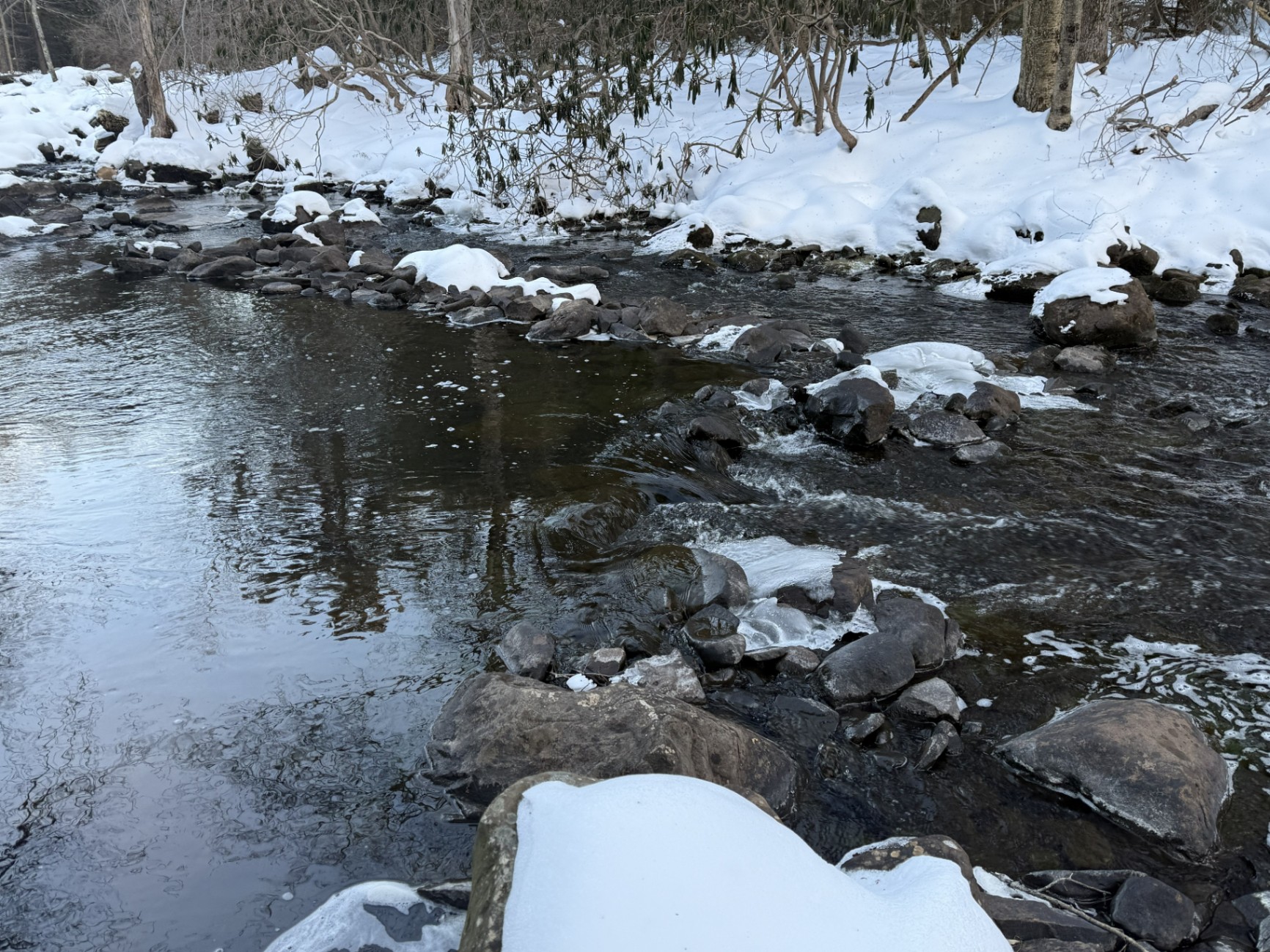 Private creek access at Bearly Roughing It