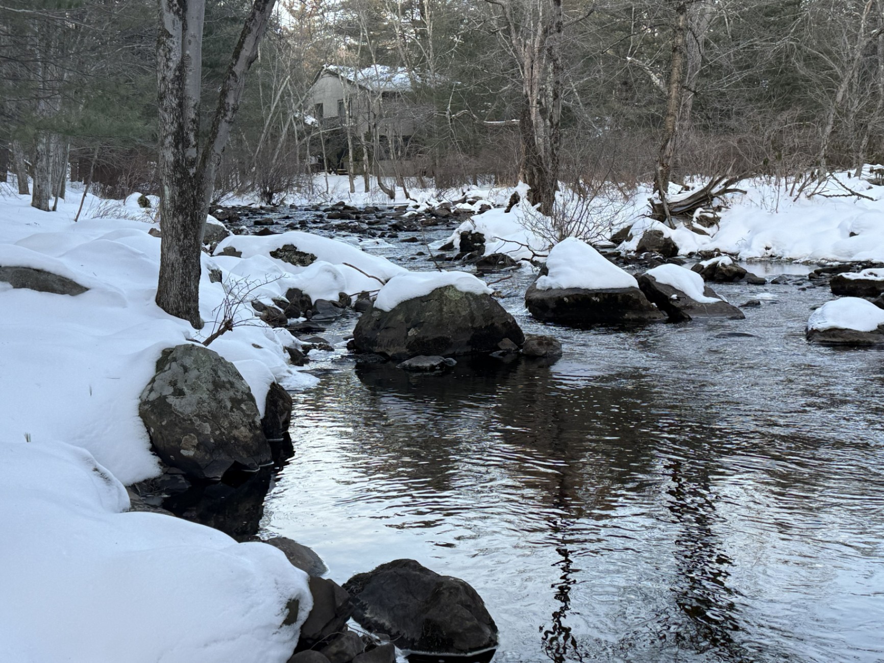 [HERO] Spring in the Poconos: How to 'Bearly' Rough It This Season