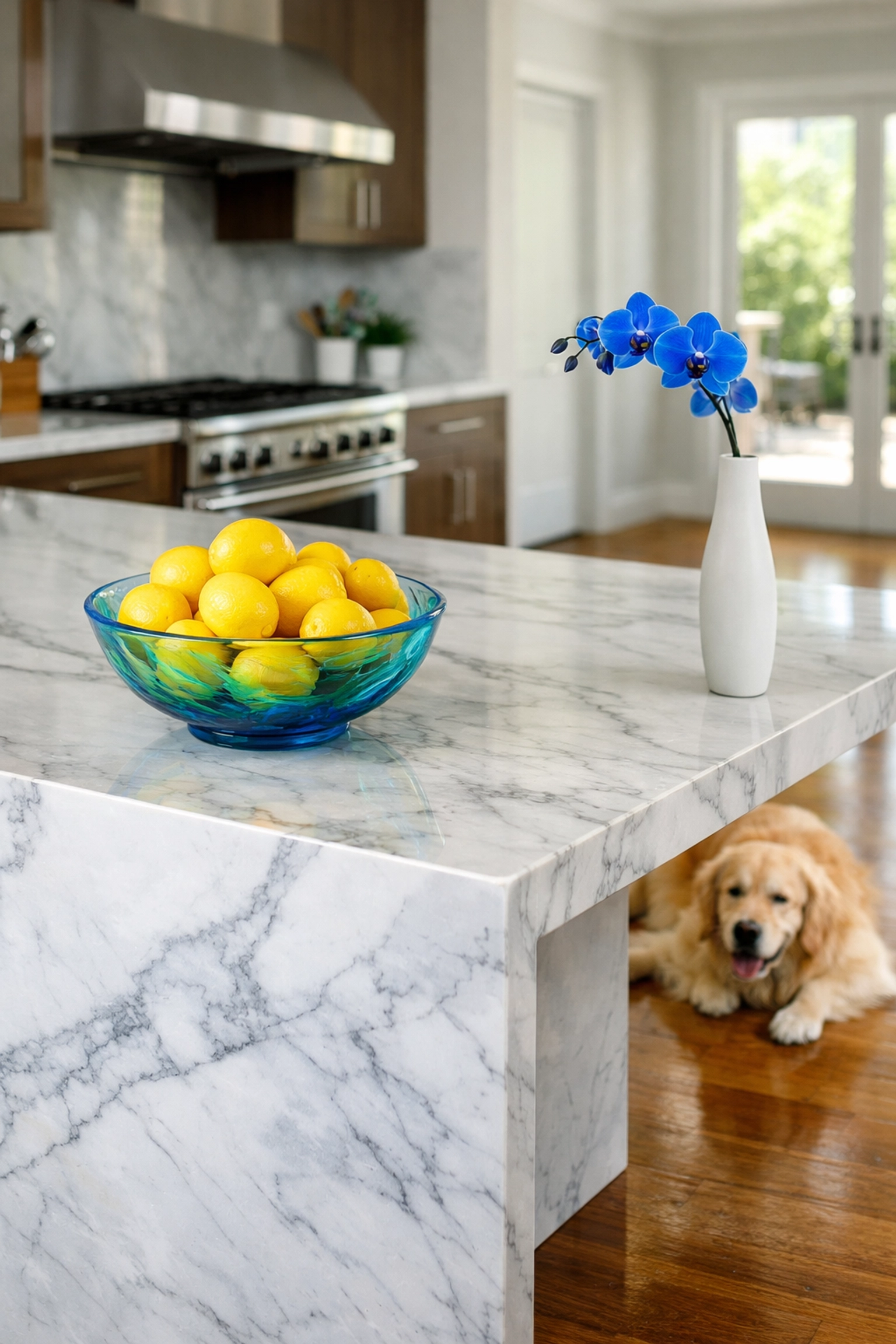 Pet-friendly green cleaning services Lowell MA in a modern kitchen with a marble waterfall island and dog.