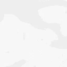 Map-driven user experience for cannabis services