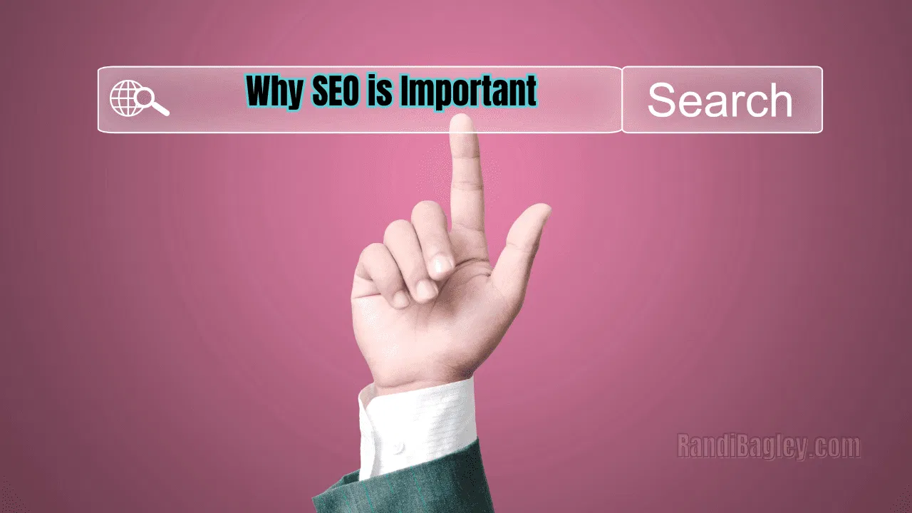 hand-pointing-virtual-search-bar-why-seo-is-important-cannabis-dispensaries.webp