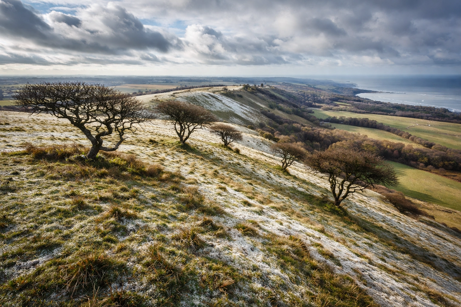 Kent Downs chalk ridgeline with wind-bent trees and rolling hills on a winter morning
