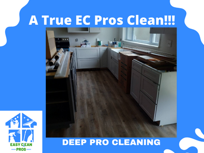 Kitchen Deep Cleaning Showcase