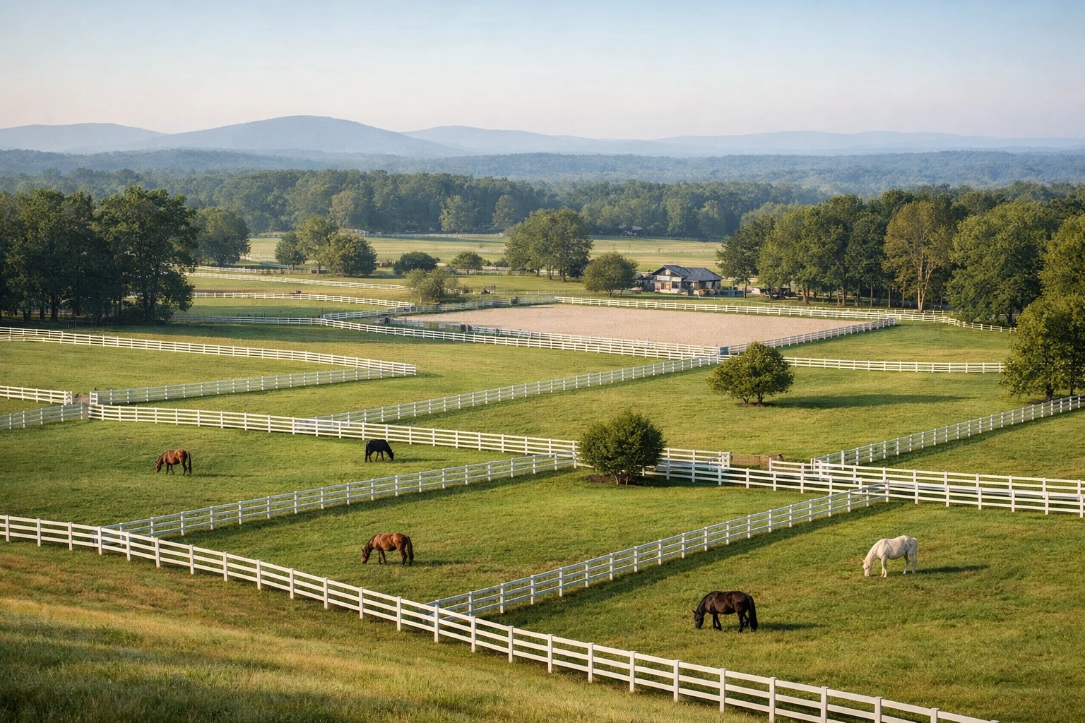 Divided horse pastures with white board fencing and grazing horses on Waxhaw equestrian property