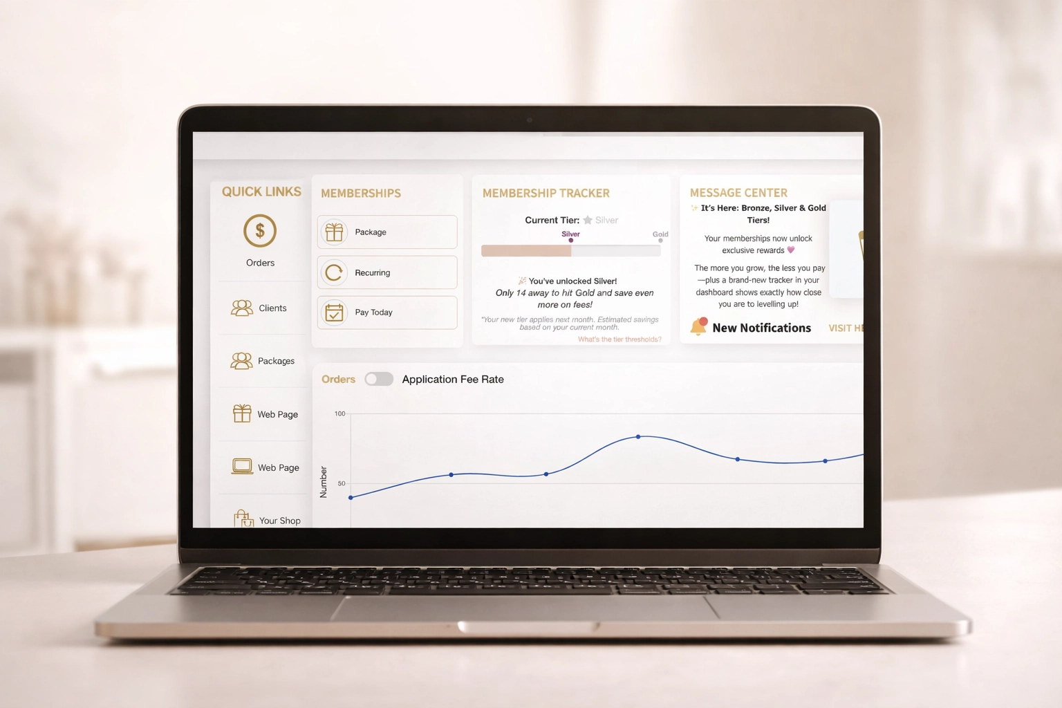 Salon Pay Dashboard Interface