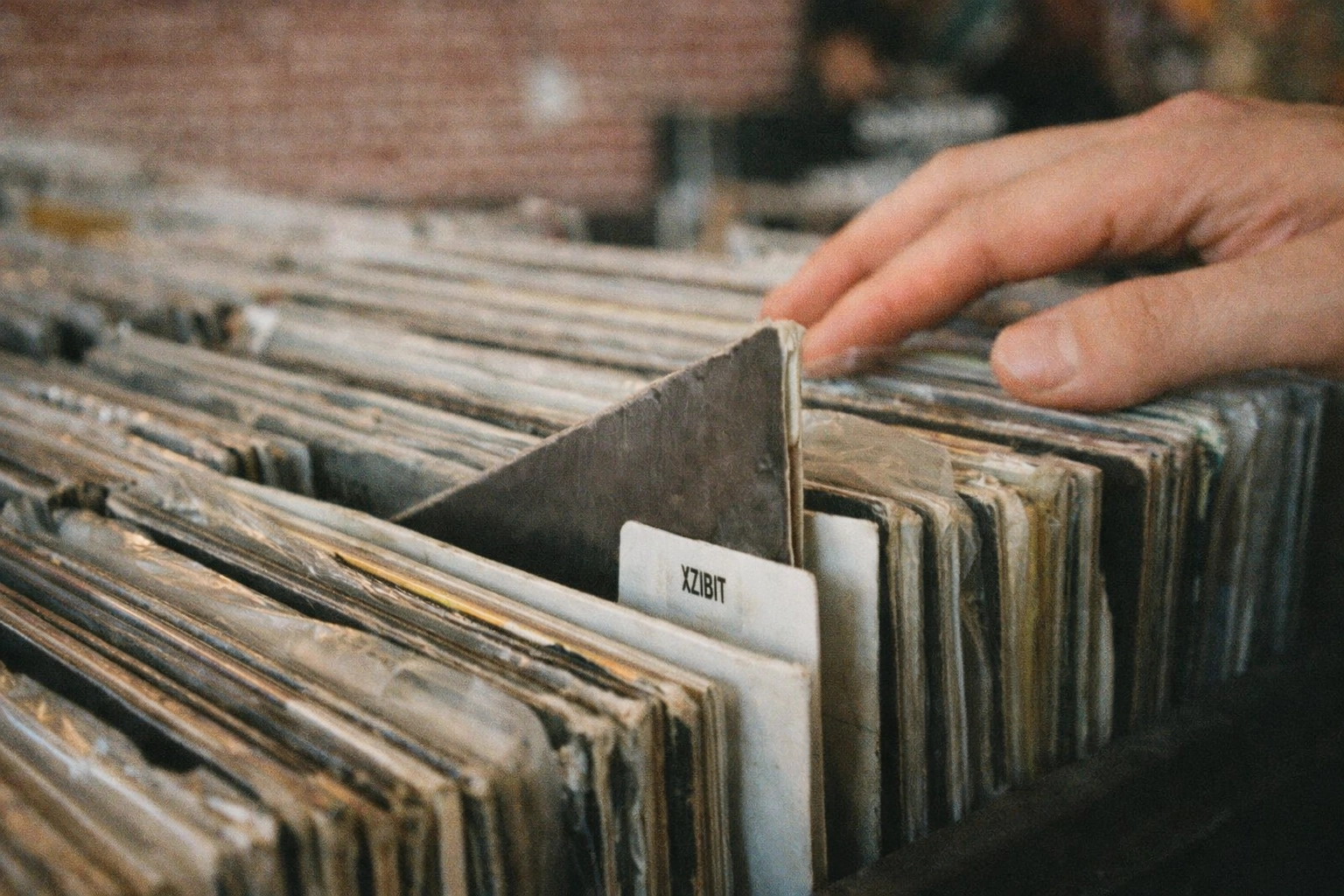 Close-up of organized vinyl records