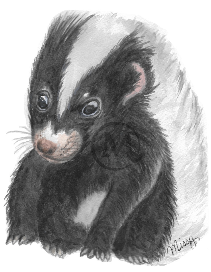 A 5x7 watercolor print featuring a baby skunk with soft black fur and a white stripe, painted in a warm, expressive style and signed by Missy.