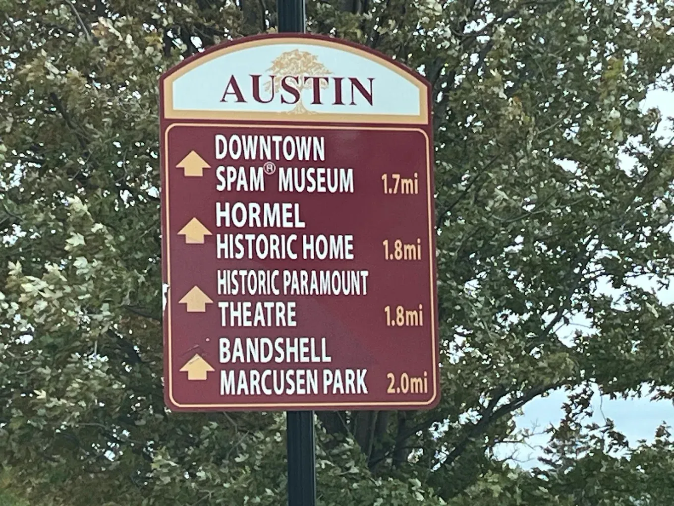 austin-local-landmarks.jpg
