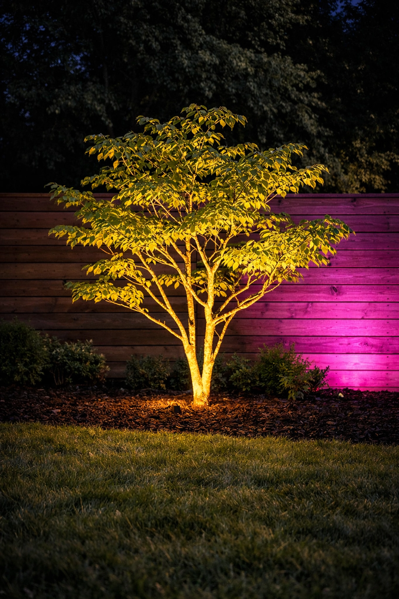7 Mistakes You’re Making with Your Lexington Landscape Lighting (and How to Fix Them) Professional LED landscape lighting highlights a dogwood tree in a well-maintained Lexington backyard.