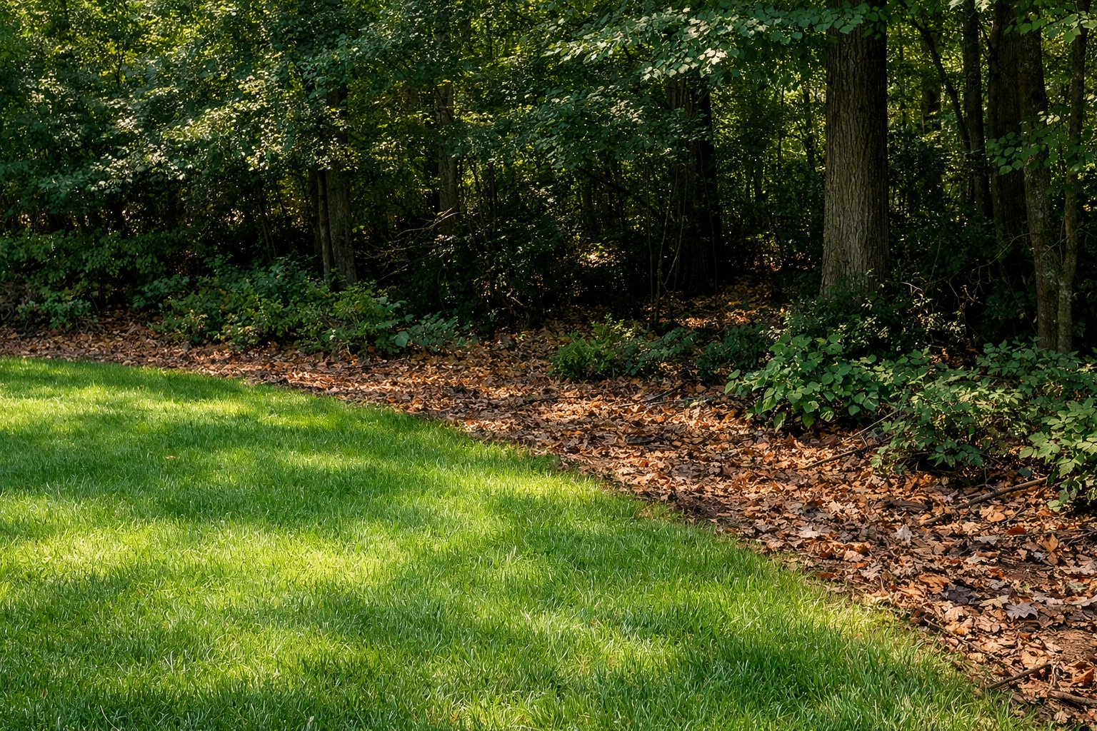 Landscape of a Westchester yard showing the high-risk edge habitat between lawn and woods for ticks.