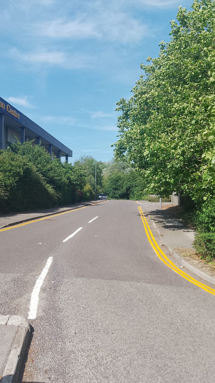 Double Yellow Lines: What They Mean and Why They Matter