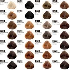 Professional Hair Colour Chart