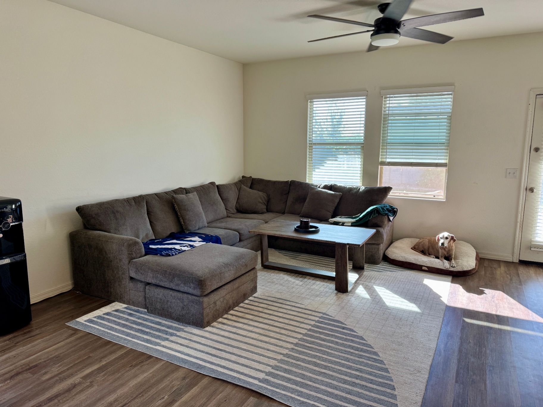 Modern Living Room with Natural Light