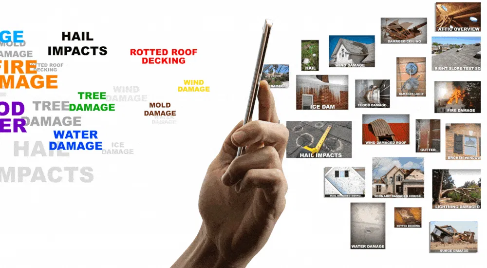 smart-damage-tagging-hail-water-fire-wind-mold-tree-damage