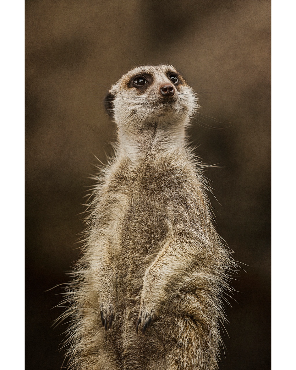 A lookout of angular form and open air, edges catching light as distance softens