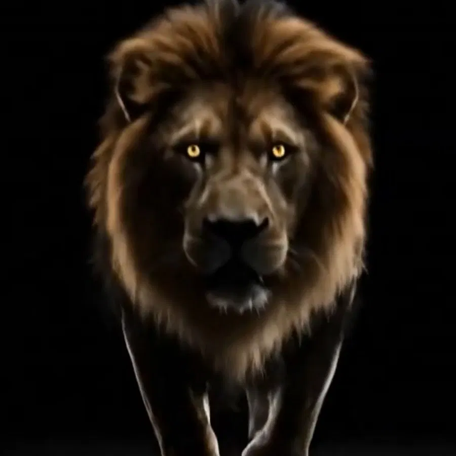 lion-emerges-from-darkness-relentless-execution