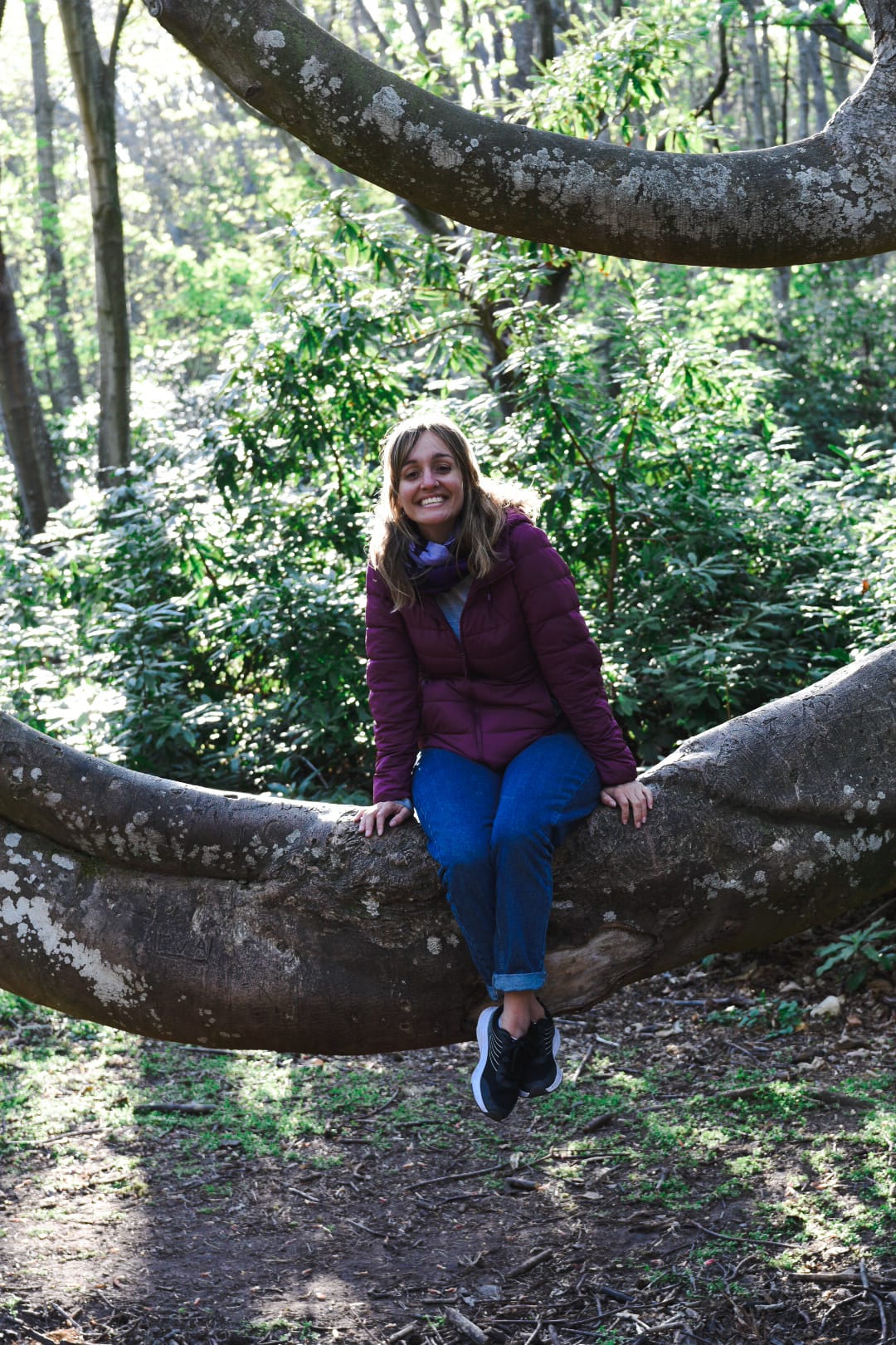 Woman on Tree Branch in Edinburgh Woodland