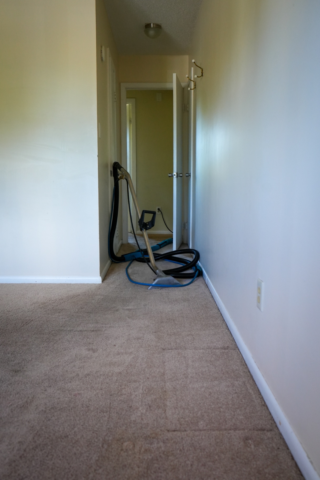 Professional Carpet Cleaning in Empty Hallway