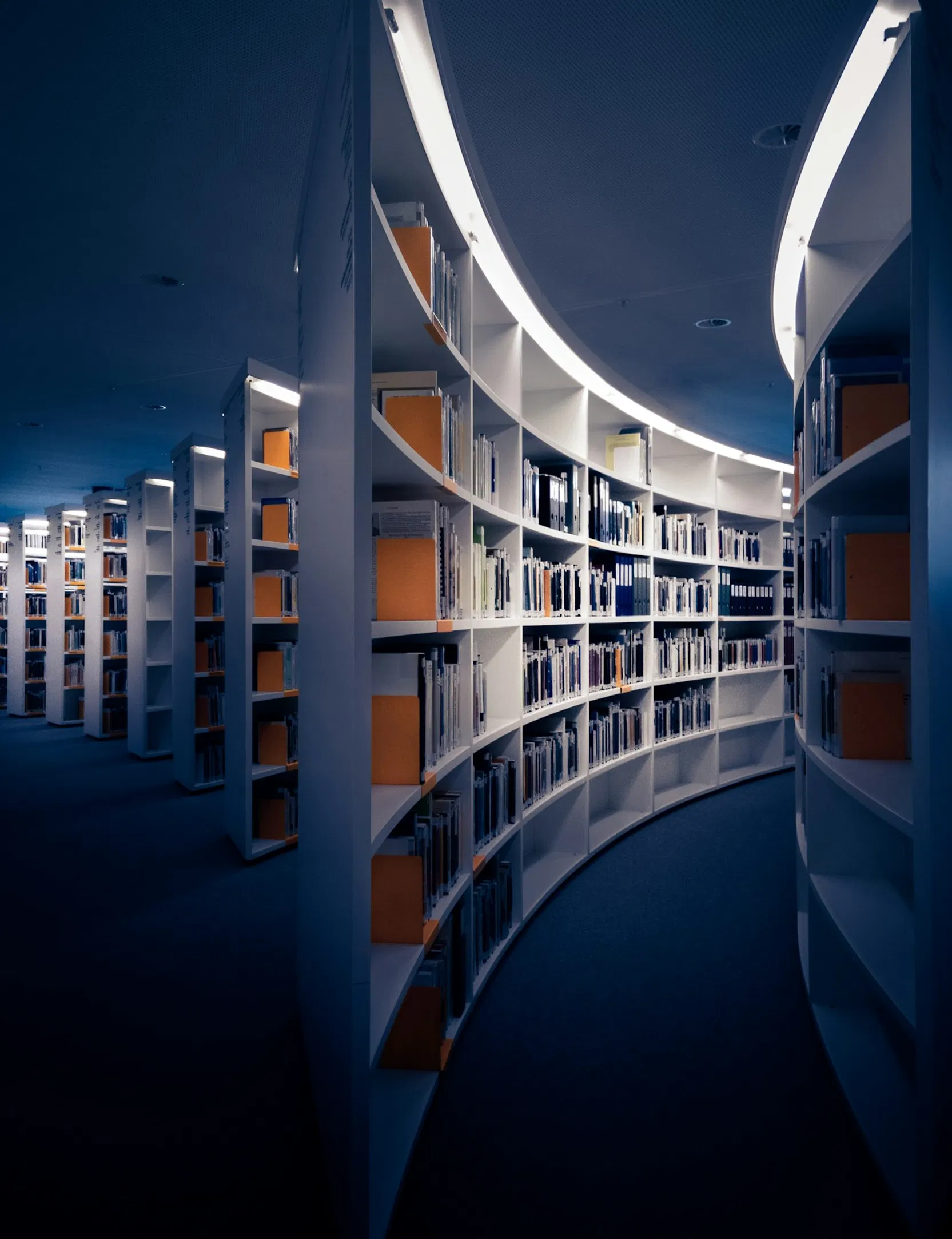 sleek-curved-bookshelves-modern-lighting-digital-library.webp