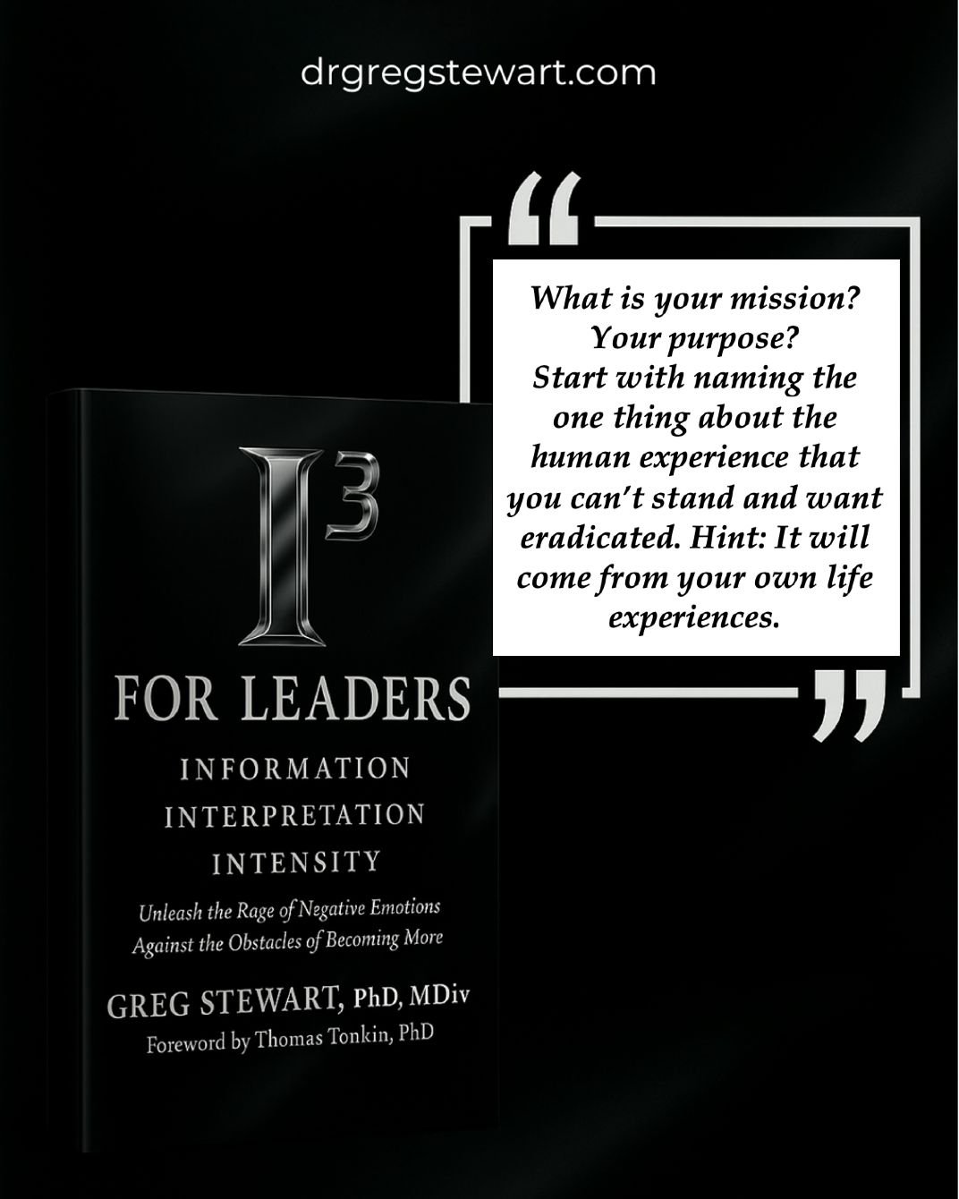 Promotional image for 'I³ for Leaders' by Greg Stewart