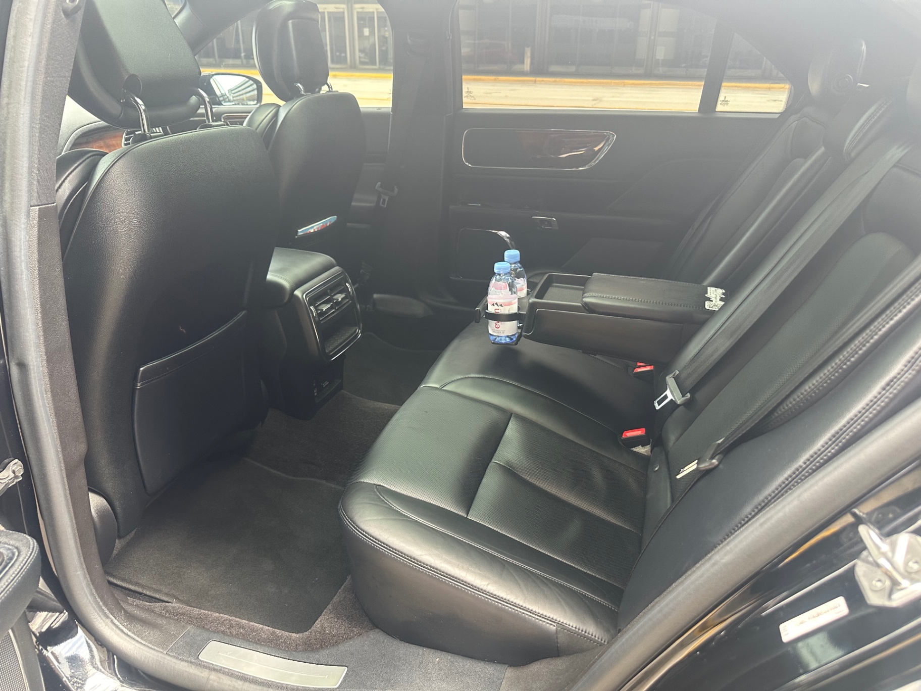 Fiona's Carriage Inc. Premium Sedan Backseat