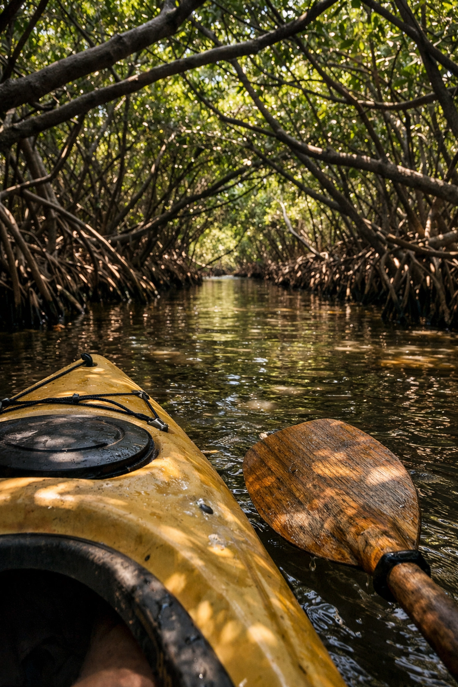 Kayaking through mangrove tunnels at Oleta River State Park, one of the top Miami hidden gems.