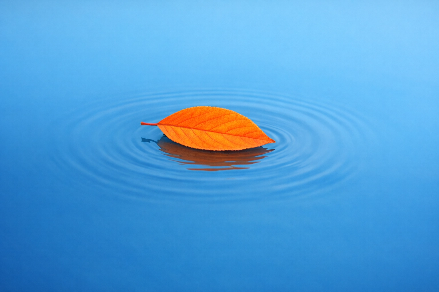 Orange leaf on still water symbolizing the stillness and quiet prayer needed for spiritual restoration.