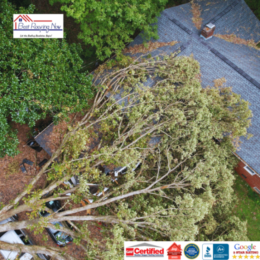 Fallen Tree on Residential Roof