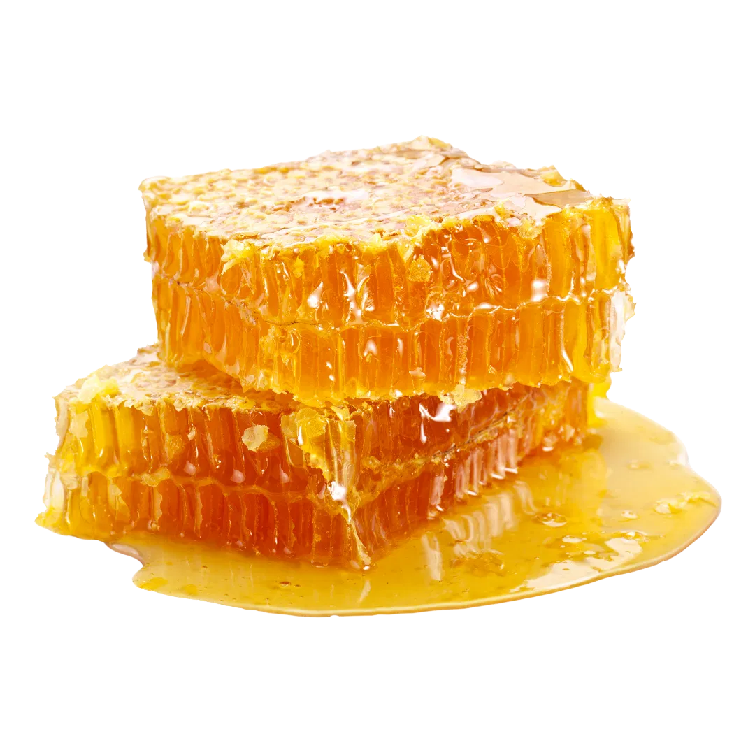 Two golden pieces of pure, raw honeycomb stacked
