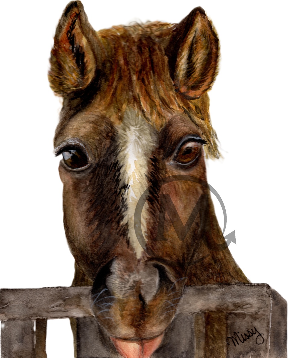 Curious Brown Horse Watercolor Print