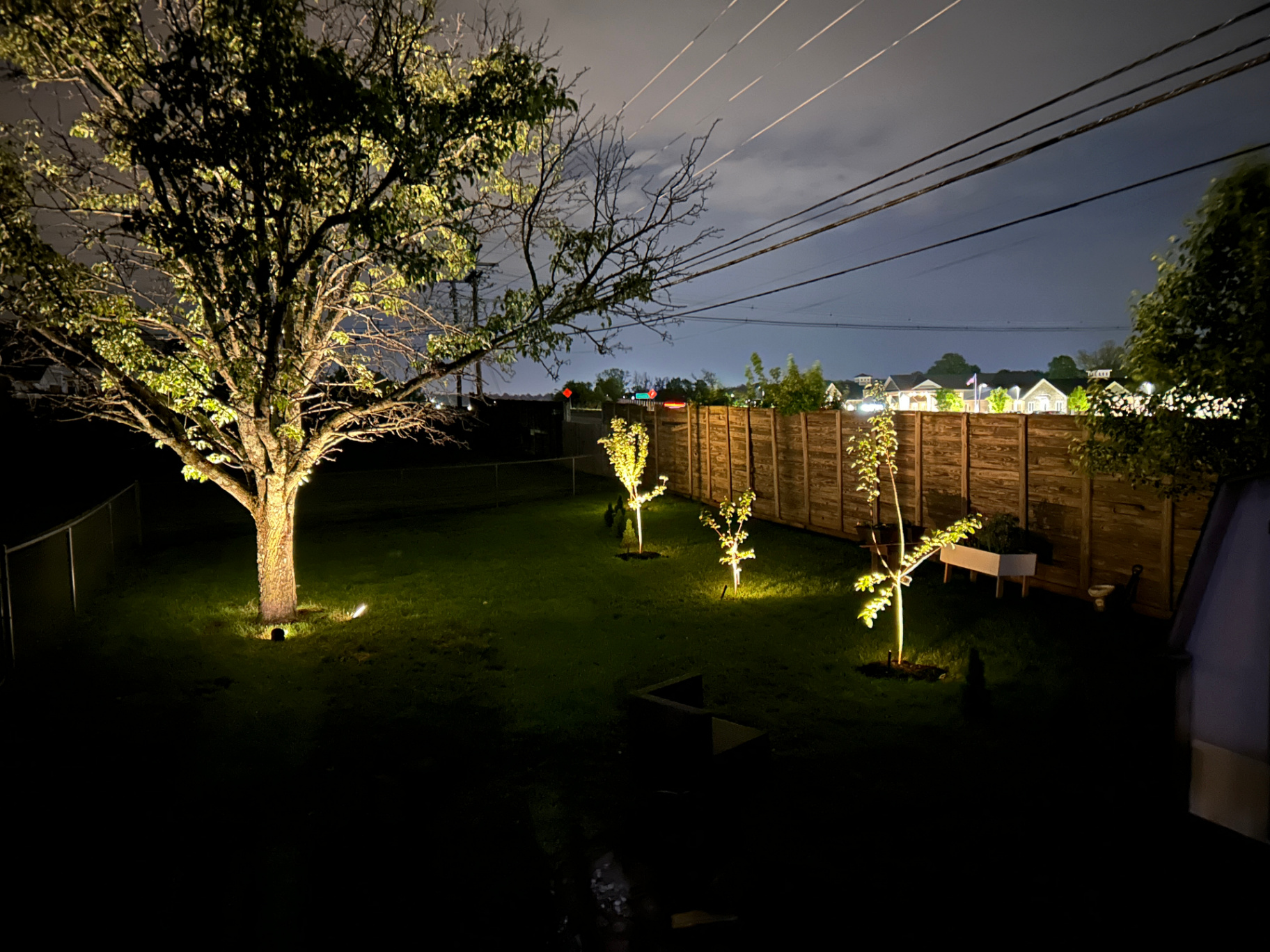 Tree uplighting and accent landscape lighting