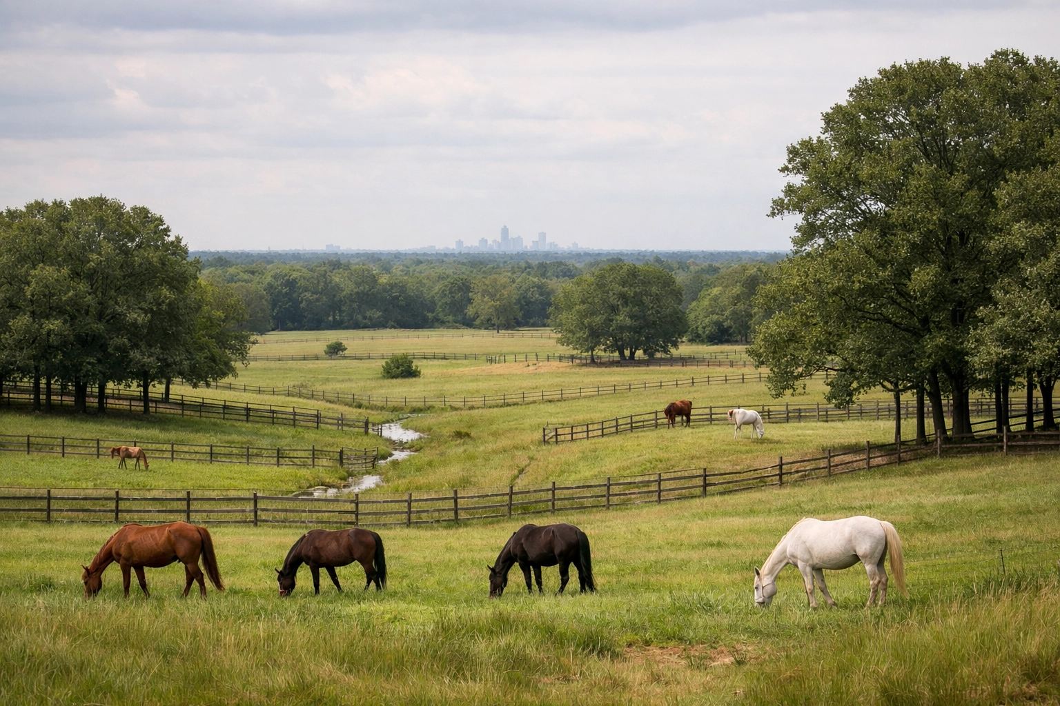 Horses grazing in managed pastures at Waxhaw NC horse farm near Charlotte