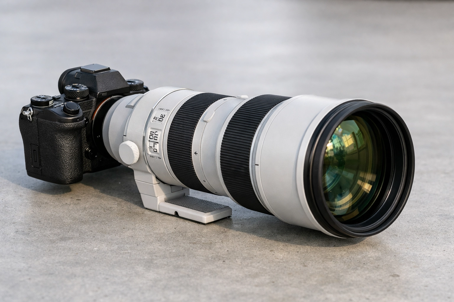 Professional mirrorless camera with a 400mm telephoto lens for high-quality wildlife stock photography.