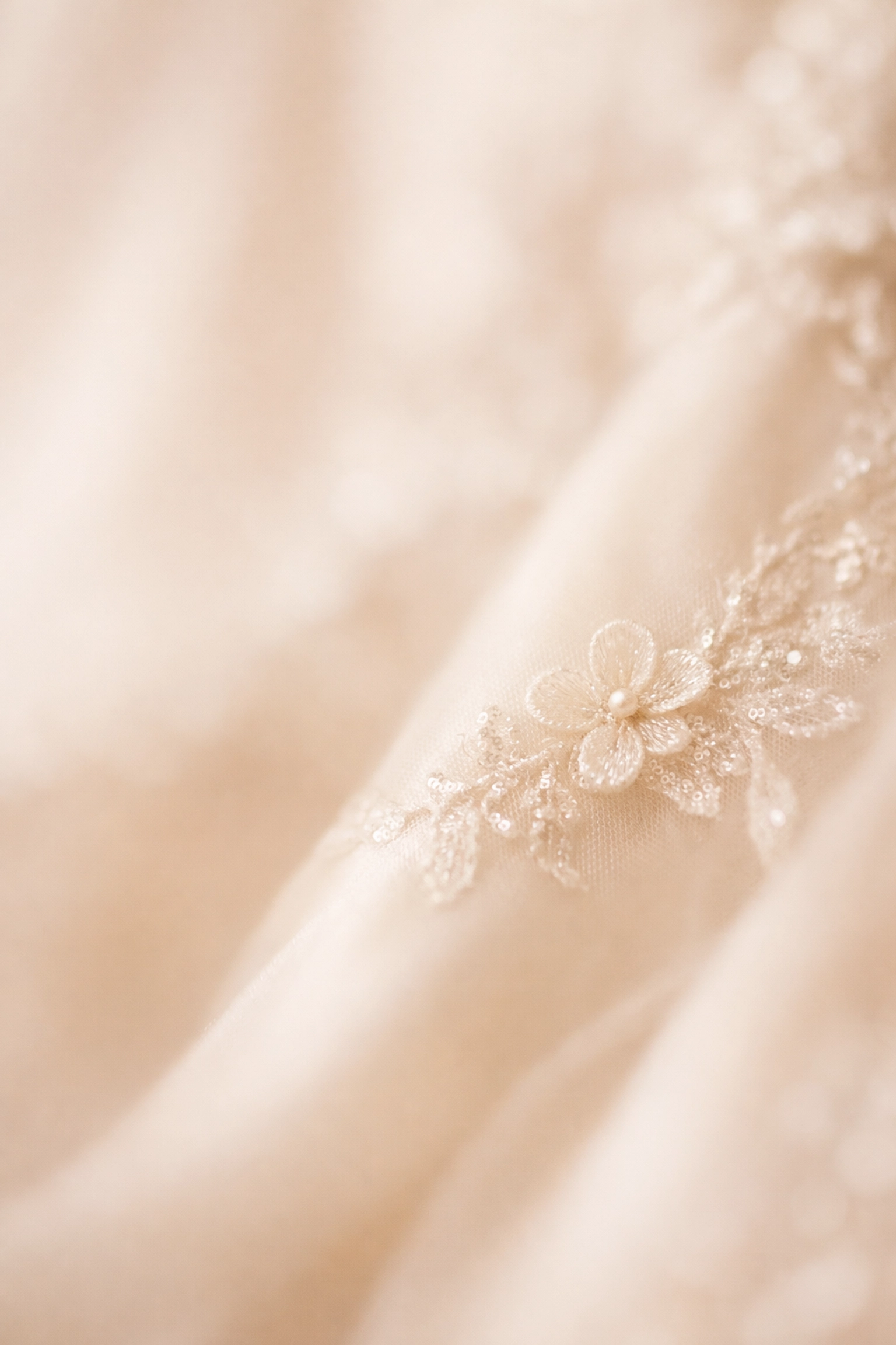 Close-up of intricate floral lace and delicate embroidery on a luxury Diane Legrand bridal gown.