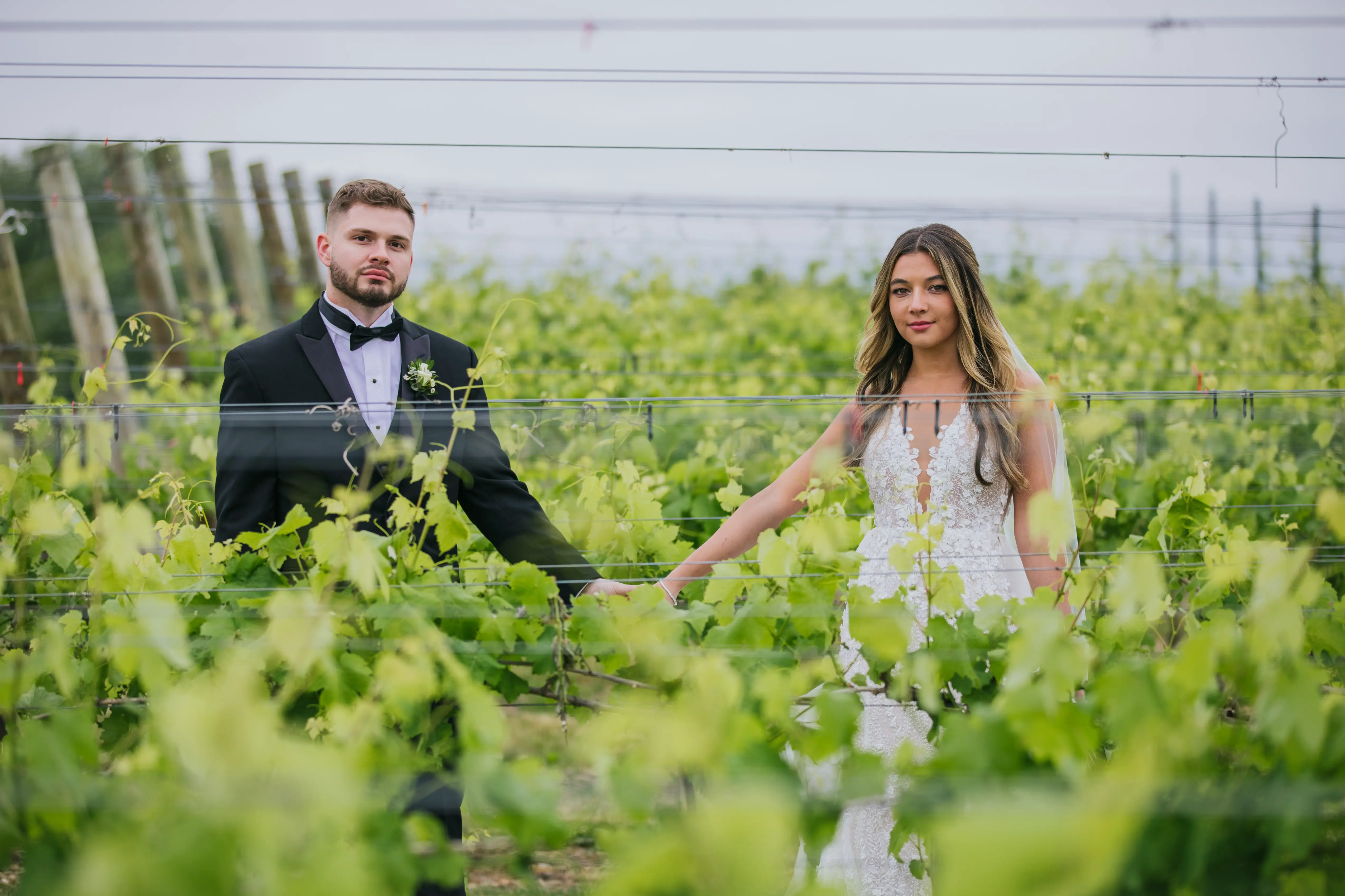 Bride and Groom in Vineyard