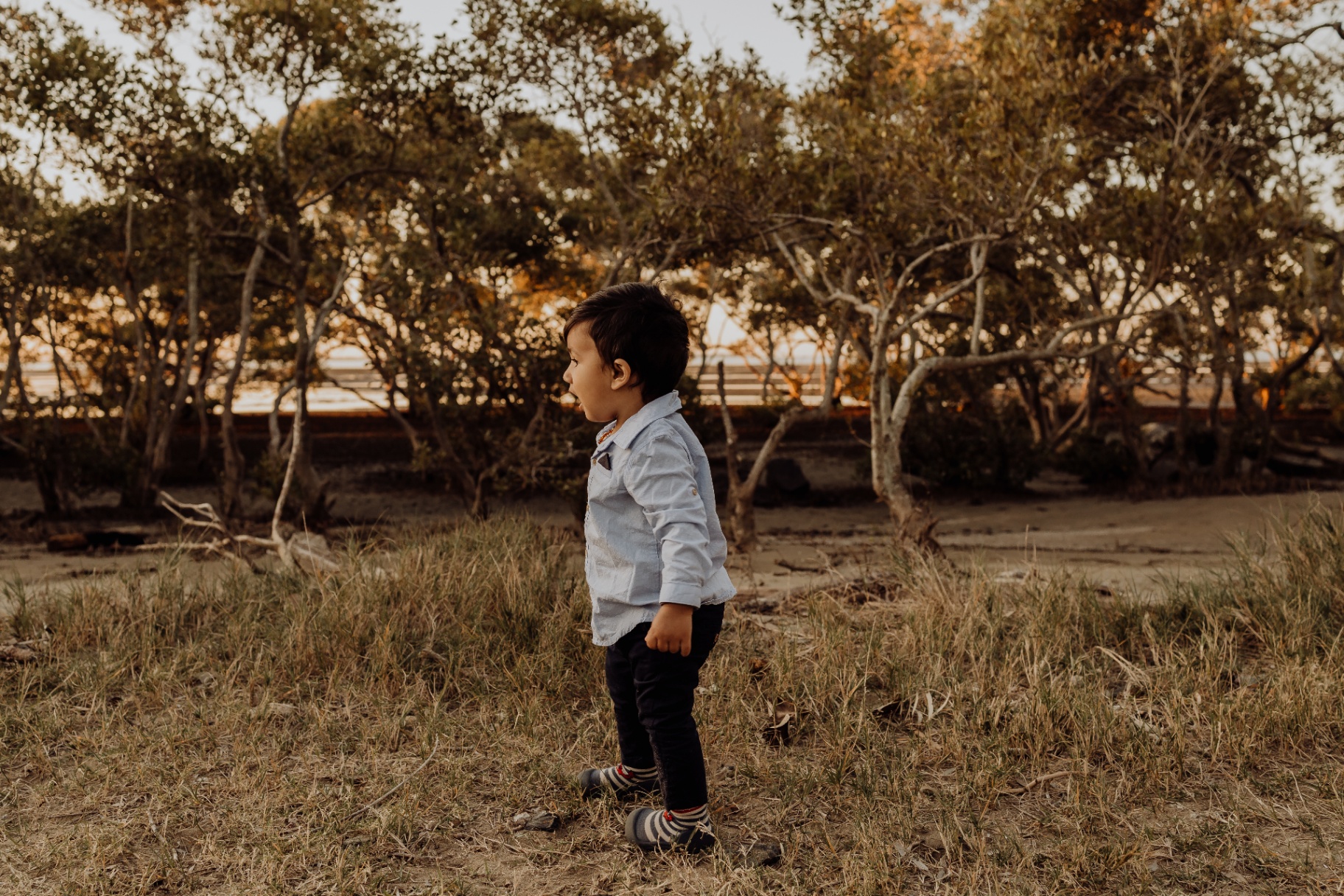 Early Childhood Journey