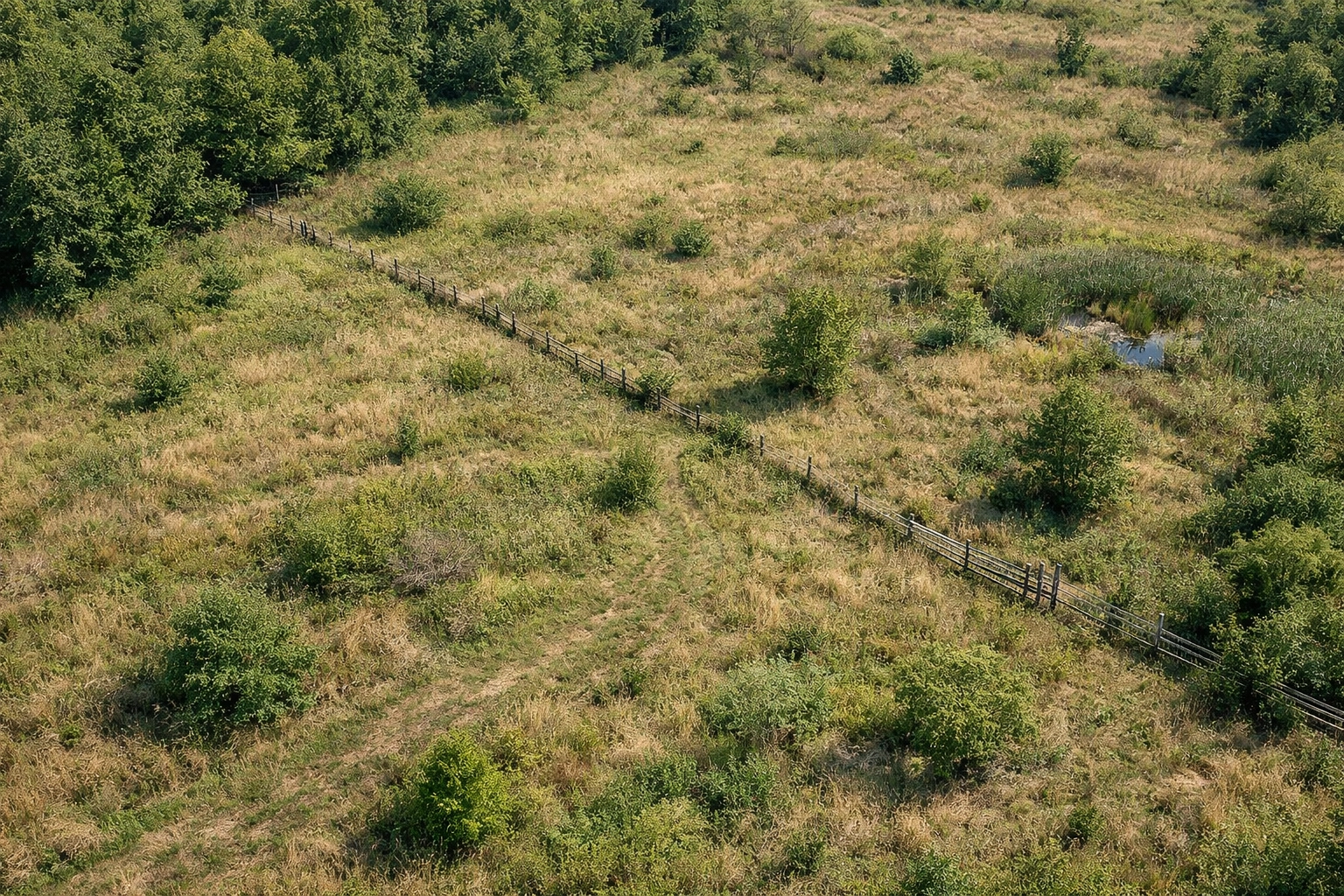 Overgrown Indiana land sold as-is without repairs or improvements