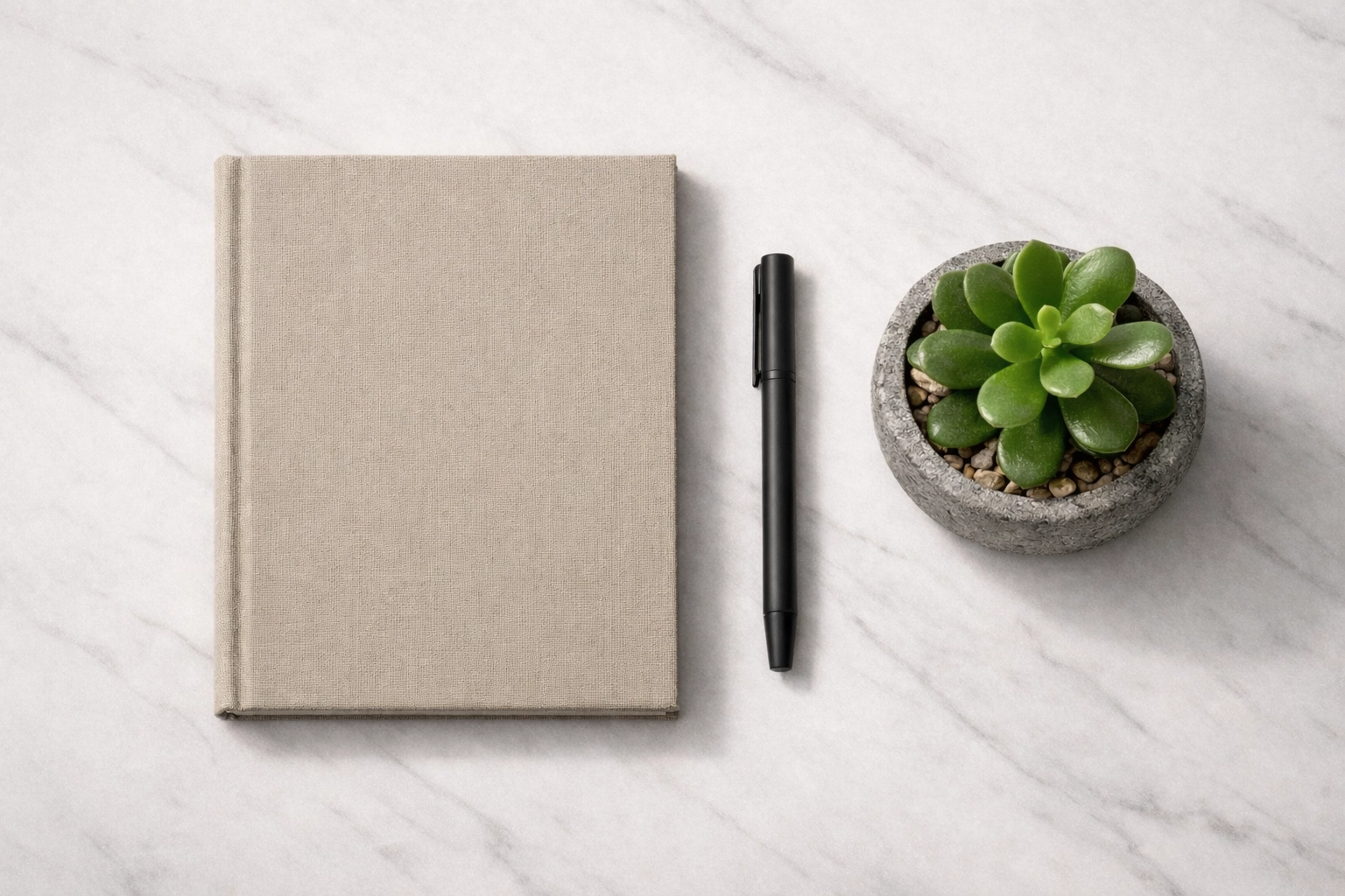 Organized marble desktop with notebook and plant, symbolizing clean and professional business management.