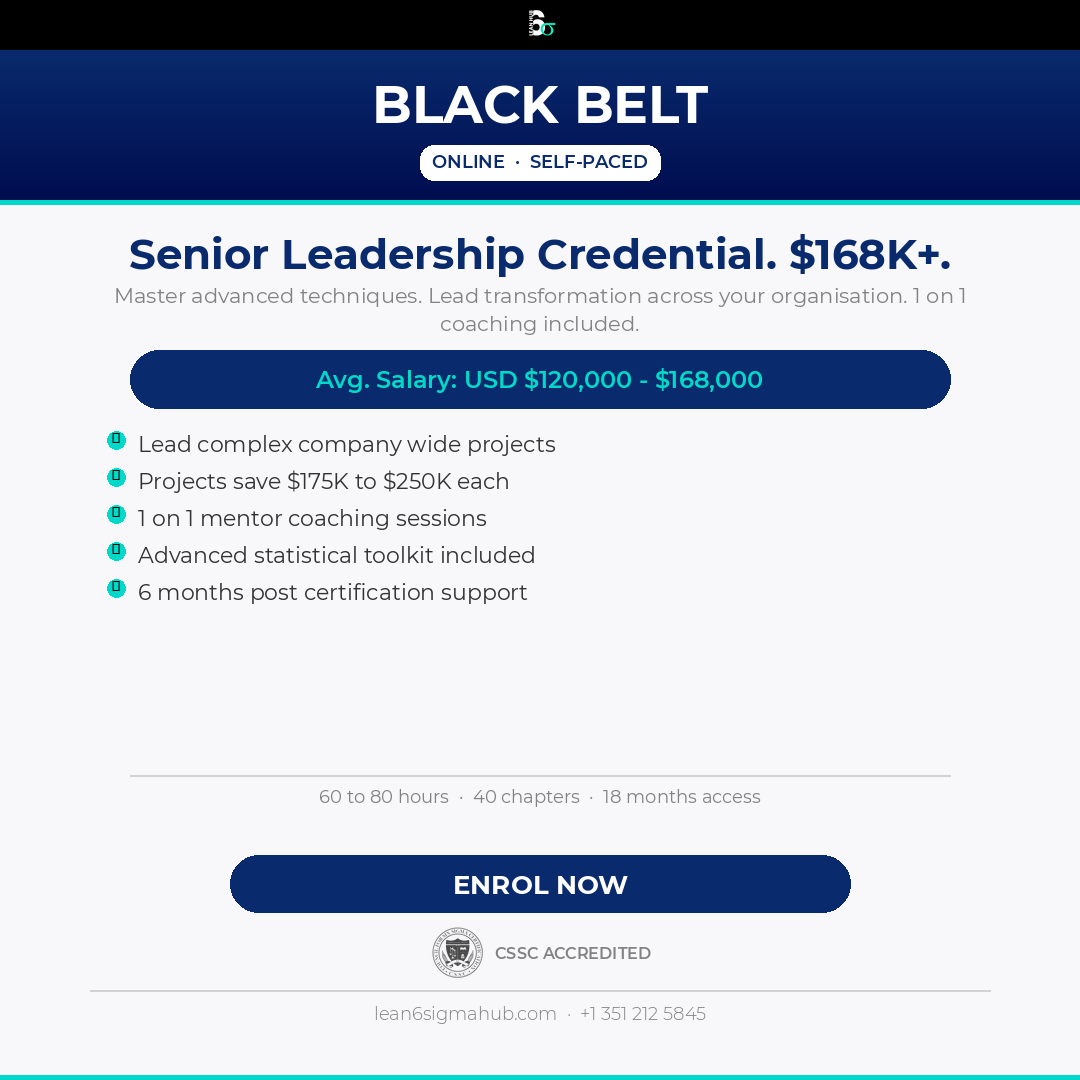 Lean 6 Sigma Hub Black Belt Certification Promotional Image