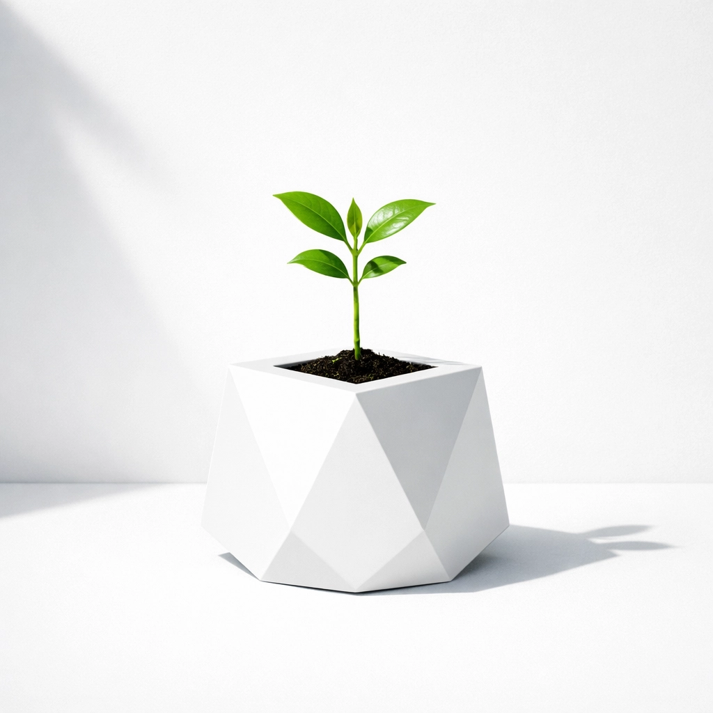 A healthy green plant symbolizing the digital growth and security of local website maintenance services.