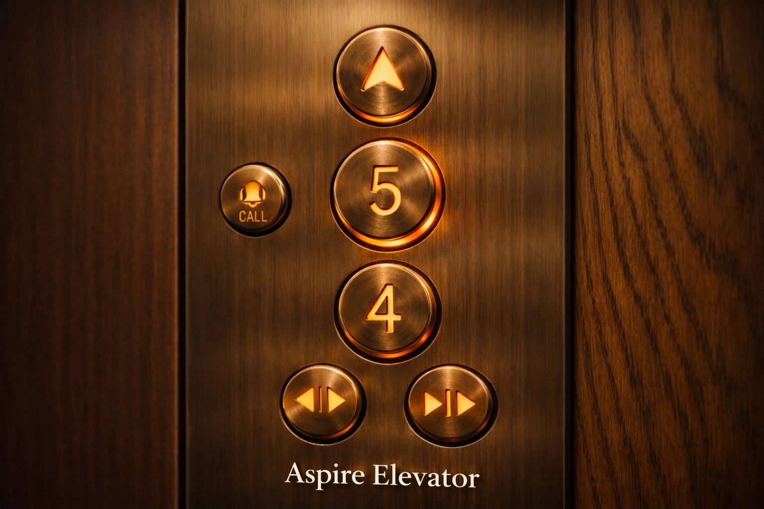 Custom luxury home elevator interior with premium finishes and metallic control panel