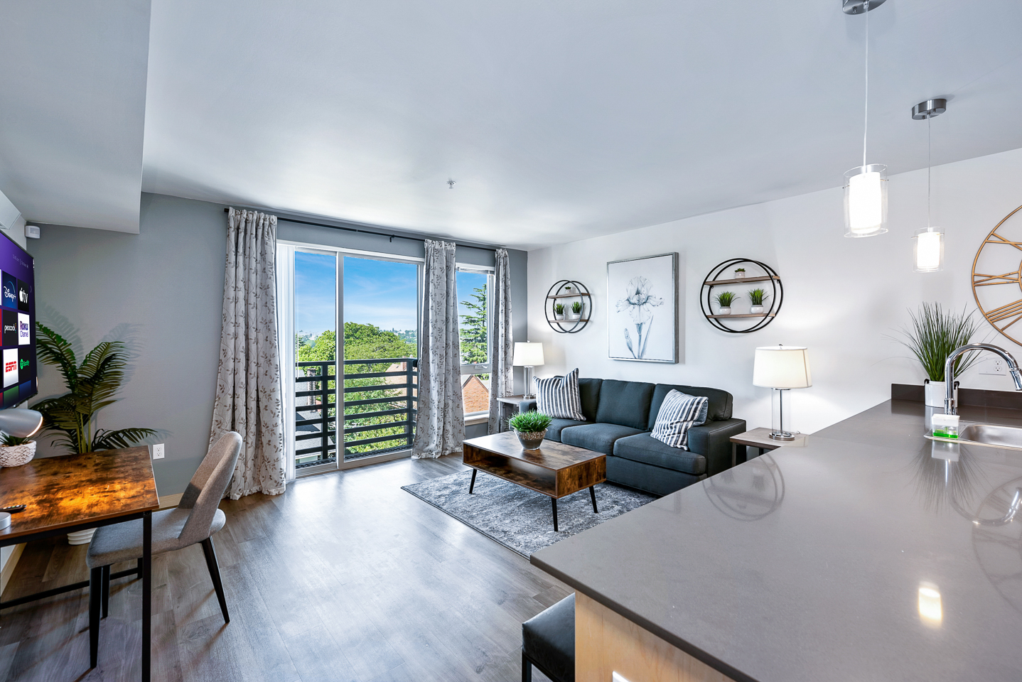 Mountain Vista (1-bedroom): Contemporary Fully Furnished Living Space