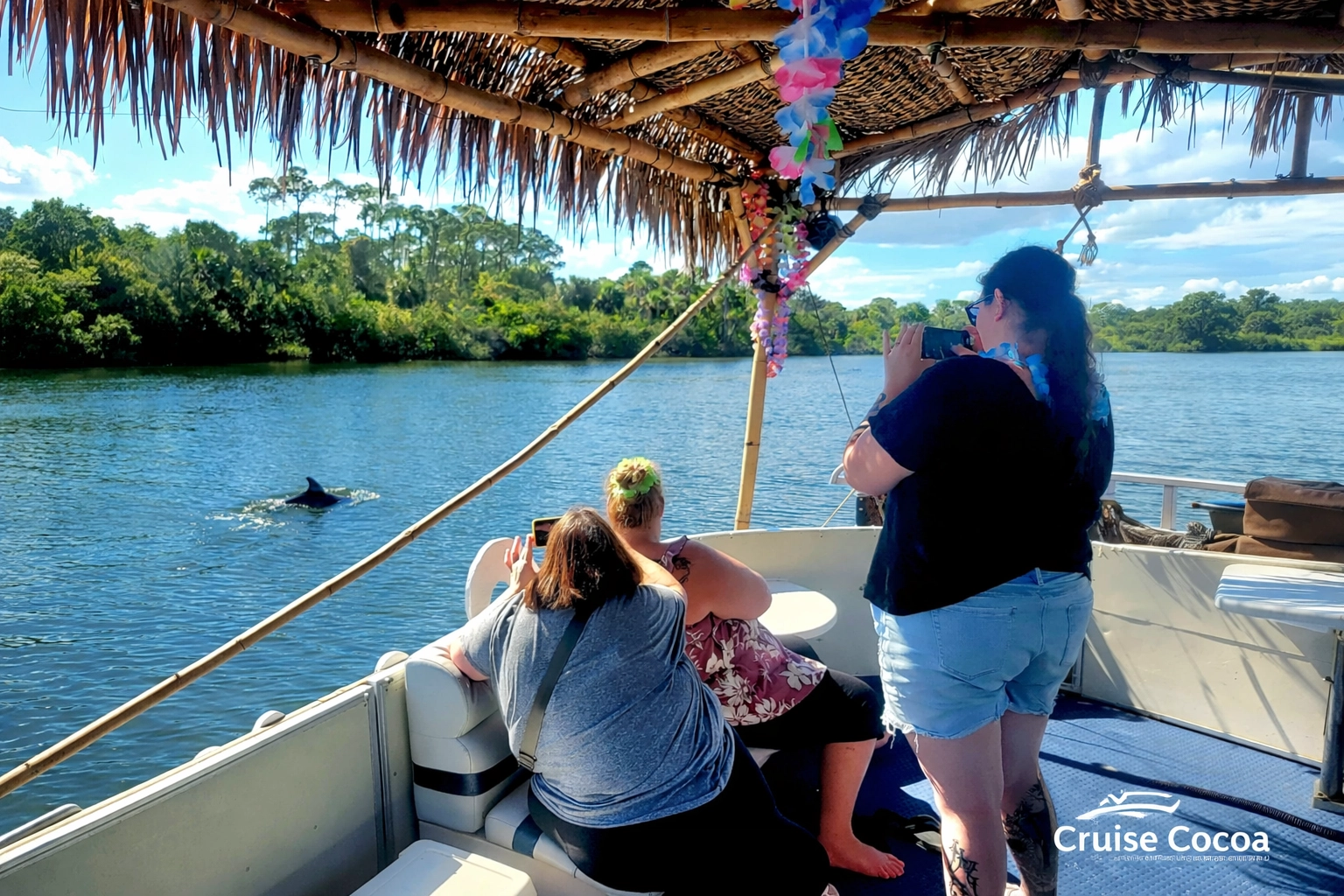 Lei'd Back Dolphin Encounter