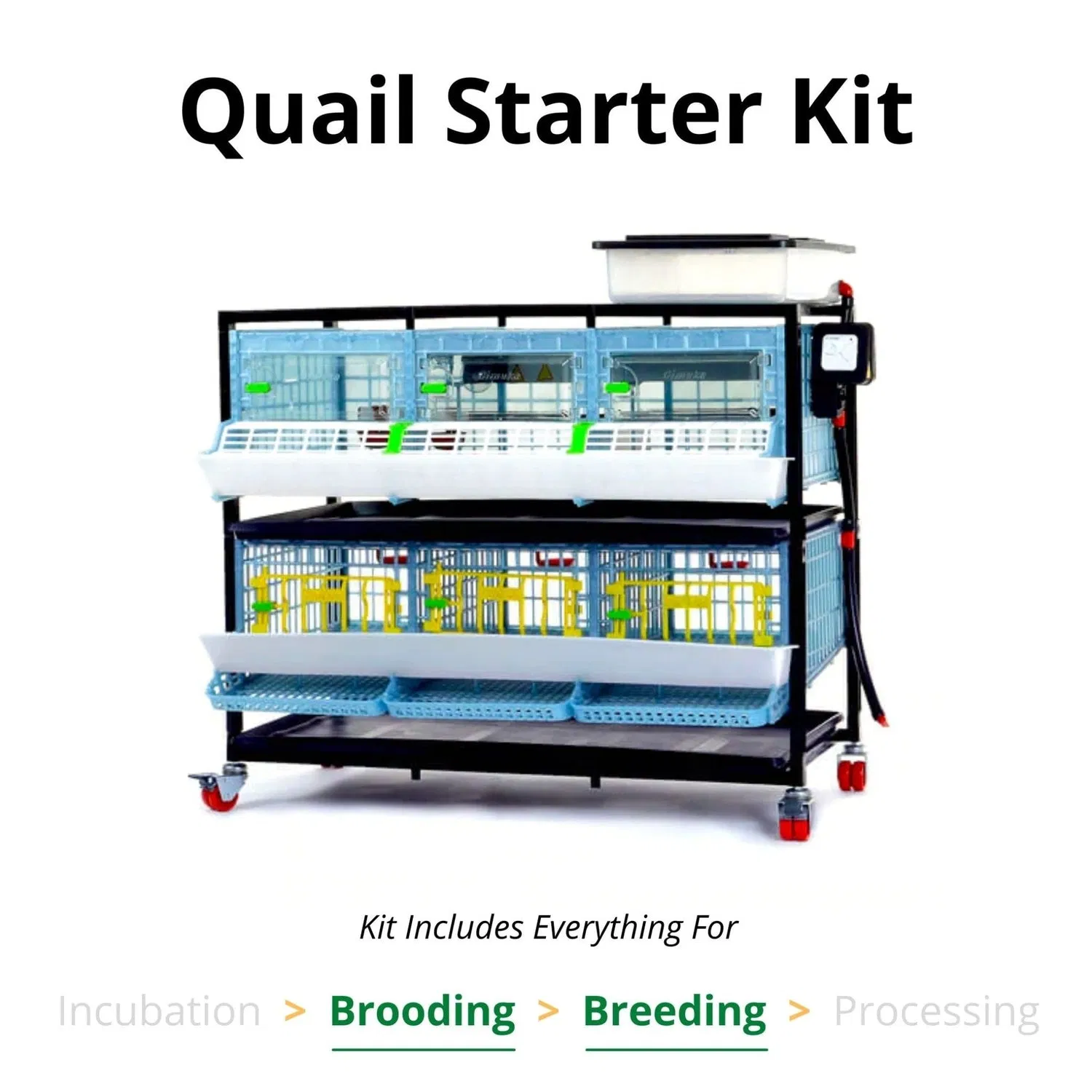 A multi-level brooder and breeder system for organized flock management