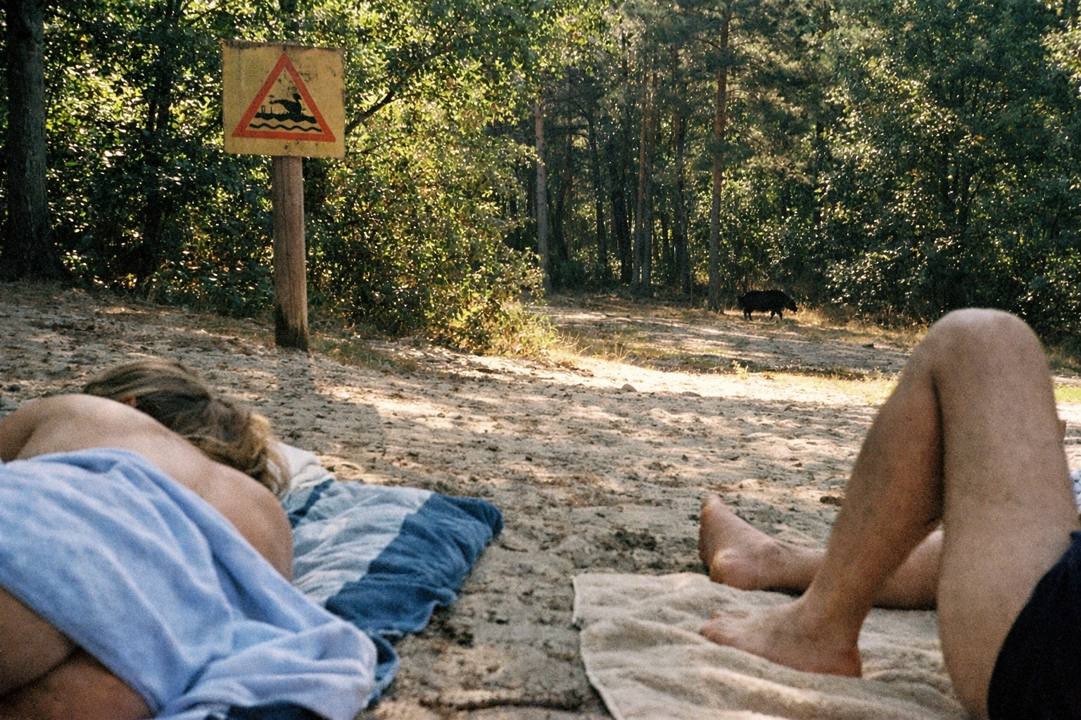 Teufelssee FKK DIY visual: sandy forest edge, towel on the ground, old DDR-style sign, wild boar silhouette far away.